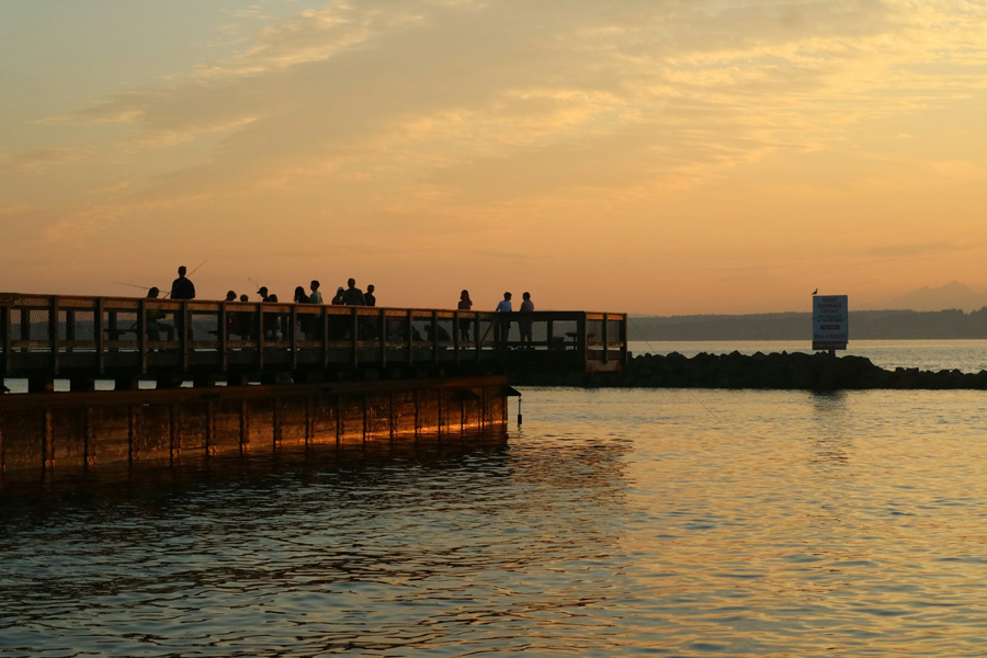 Golden Gardens Park
